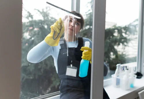 Nettoyage de vitres intérieures et extérieures à la Roche-Vineuse